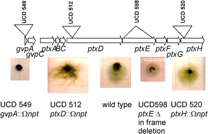 FIG 5