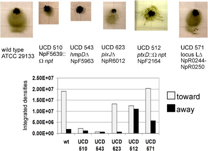 FIG 3