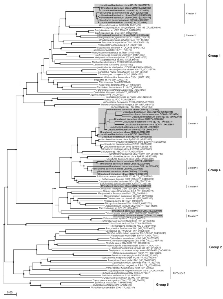 Fig. (1)