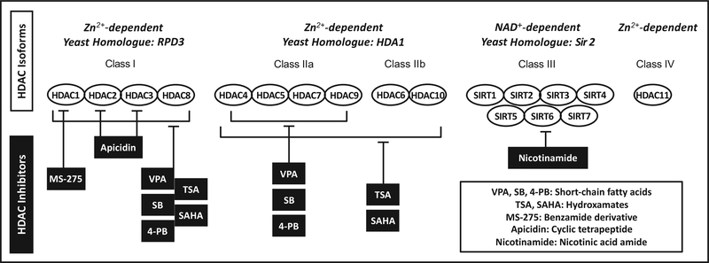 Fig. (1).