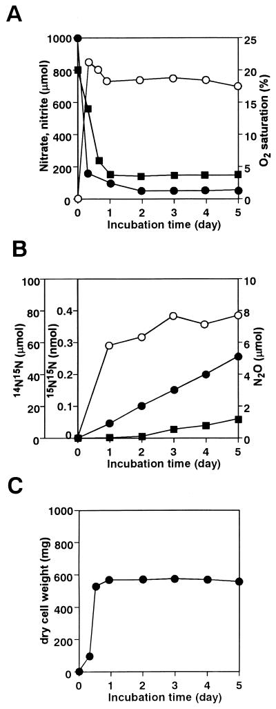 FIG. 1.