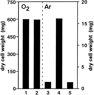 FIG. 5.