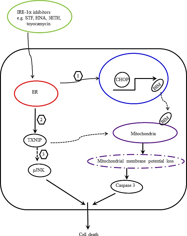 Figure 13