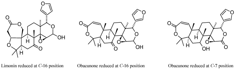 Figure 17