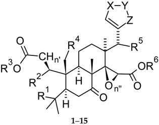 graphic file with name molecules-21-01530-i001.jpg