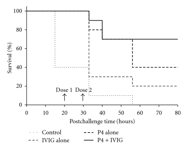 A Novel Innate Immune-Enhancement Strategy Combined with IVIG Rescues ...