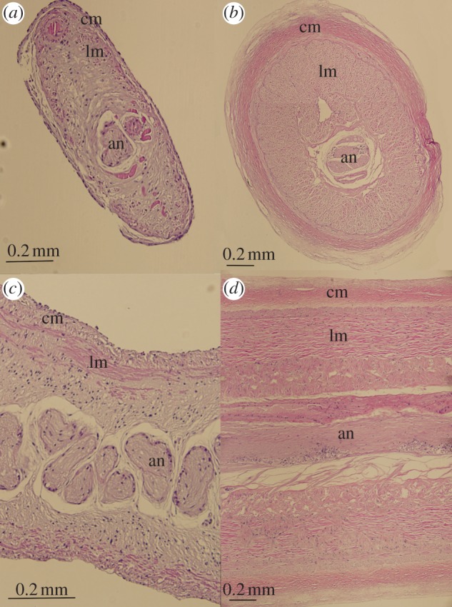 Figure 3.