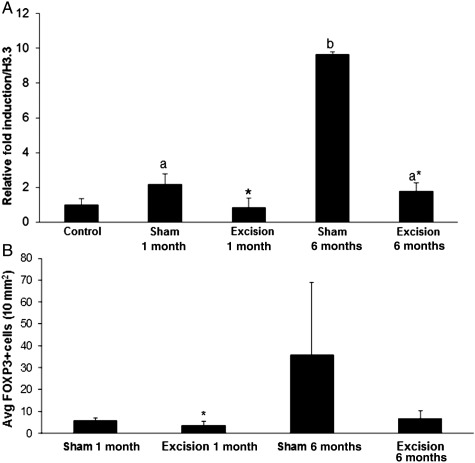 Figure 6