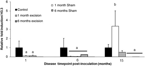 Figure 4