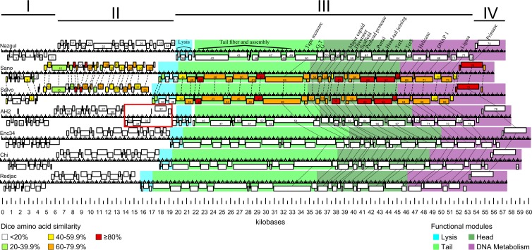 FIG 2