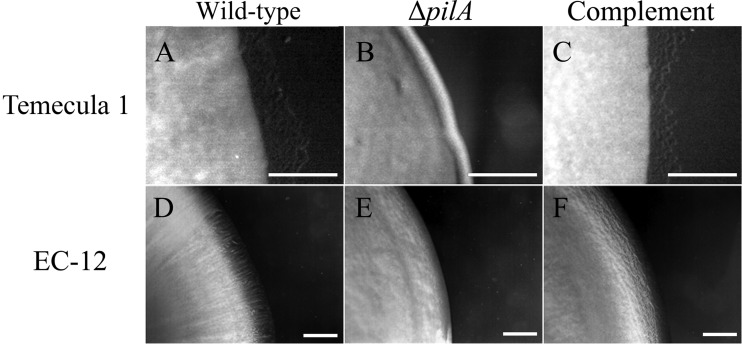 FIG 6