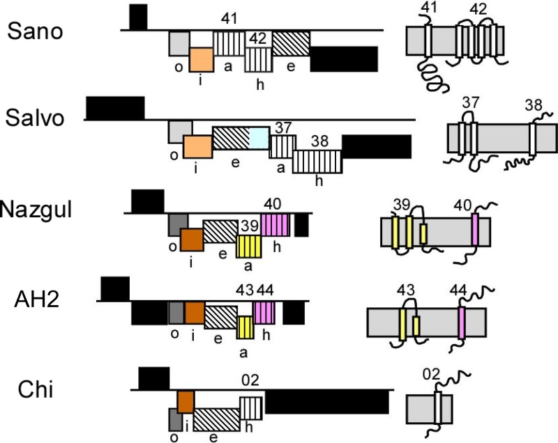 FIG 3