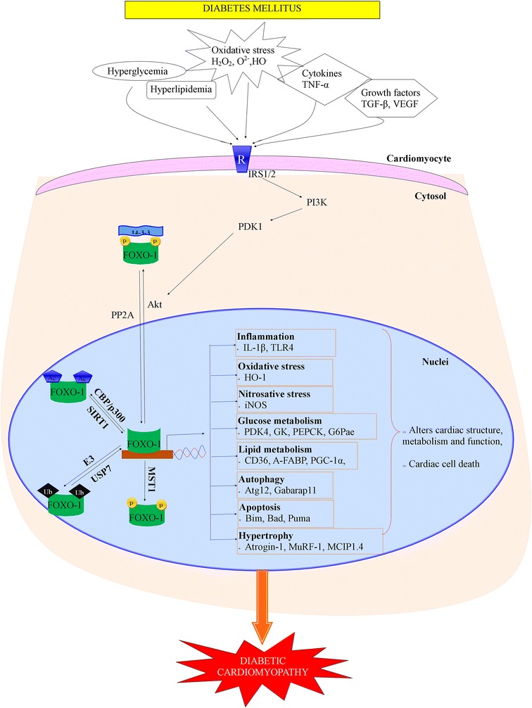 Fig. 1