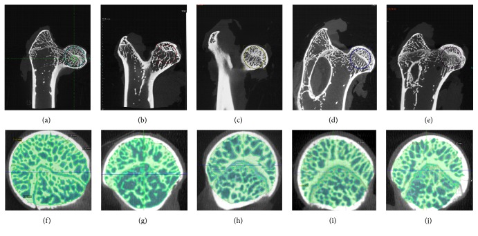 Figure 2