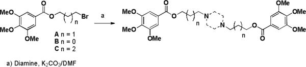 Scheme 1