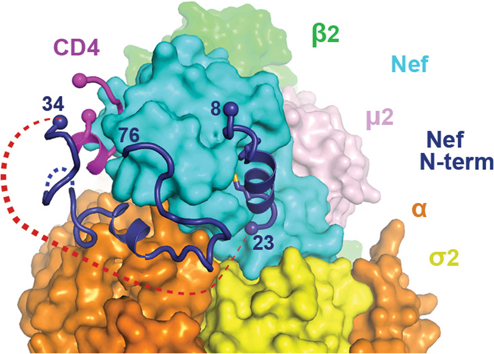 Extended Data Fig. 4.