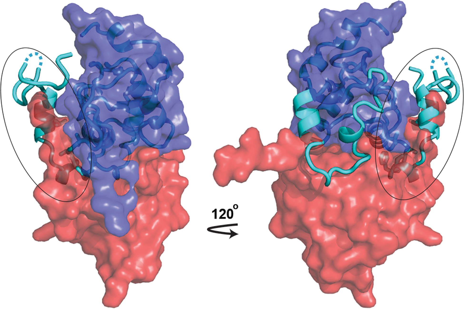 Extended Data Fig. 6.