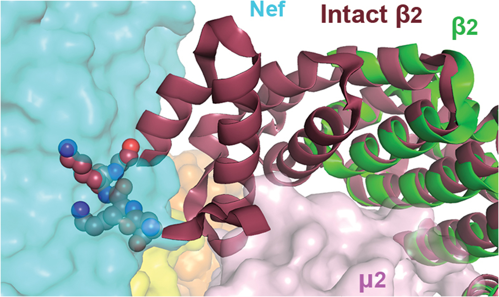 Extended Data Fig. 2.