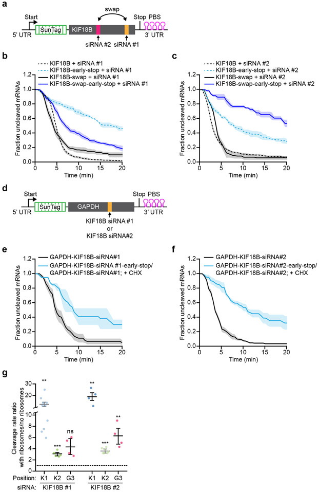 Extended Data Fig. 4