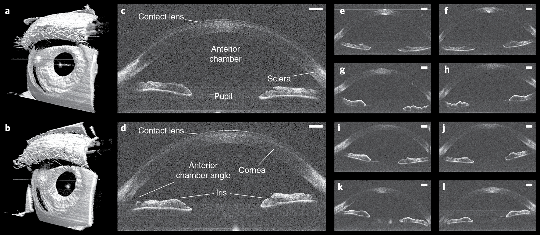 Fig. 3 |