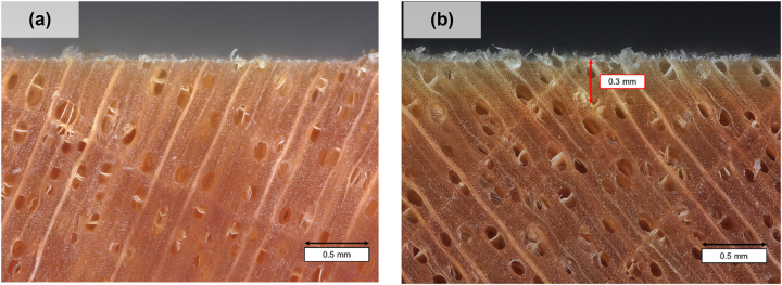 Figure 2: