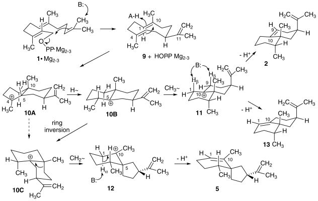 Scheme 5