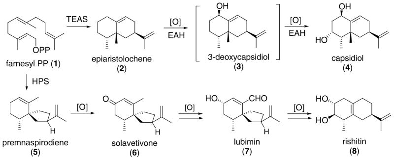 Scheme 1