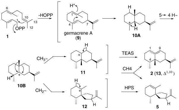 Scheme 2