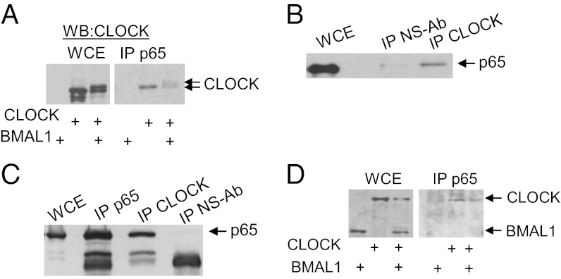 Fig. 3.