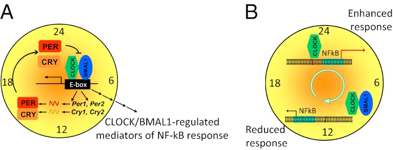 Fig. P1.