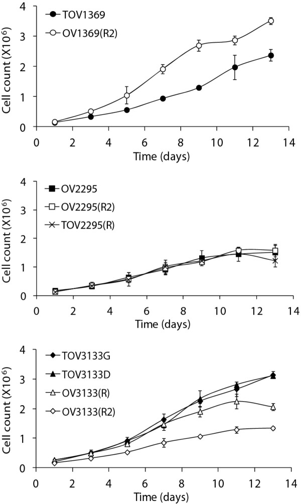 Figure 5 