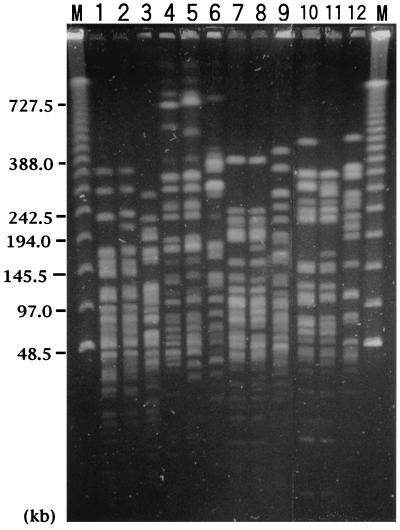 FIG. 5