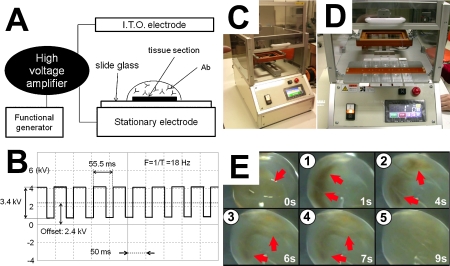 Fig. 1