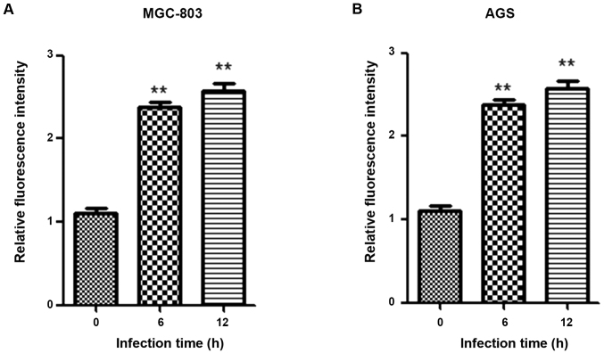 Figure 3.