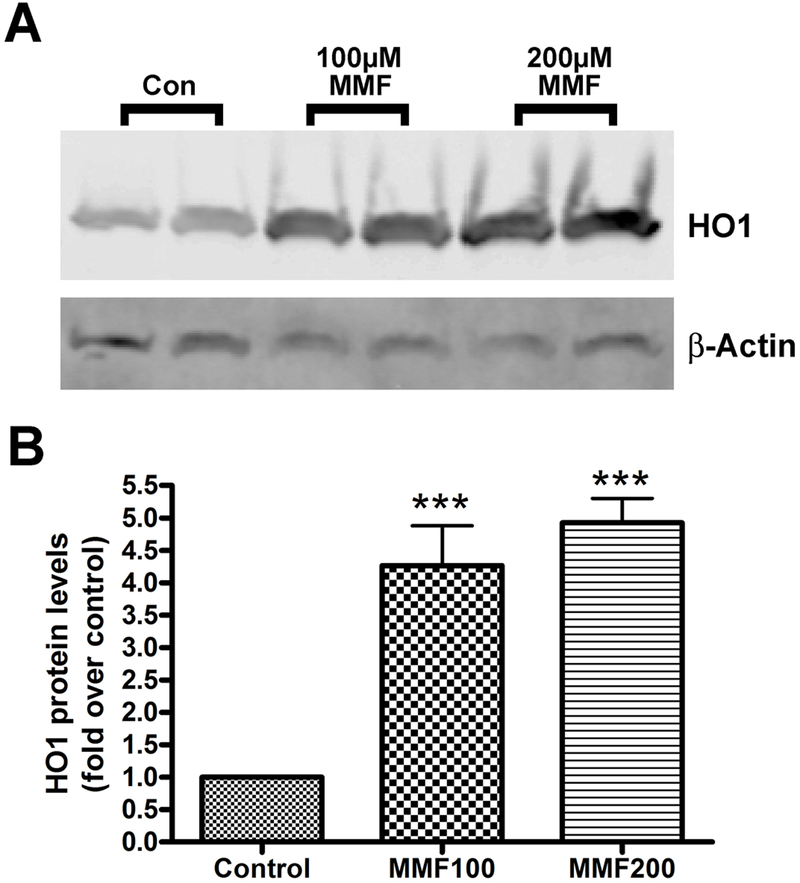 Figure 3: