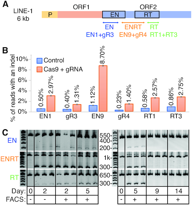 Figure 2.