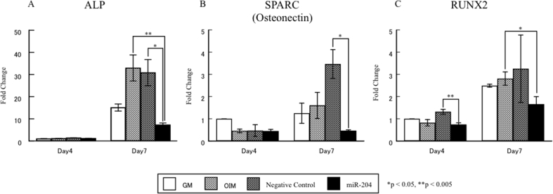 Figure 5