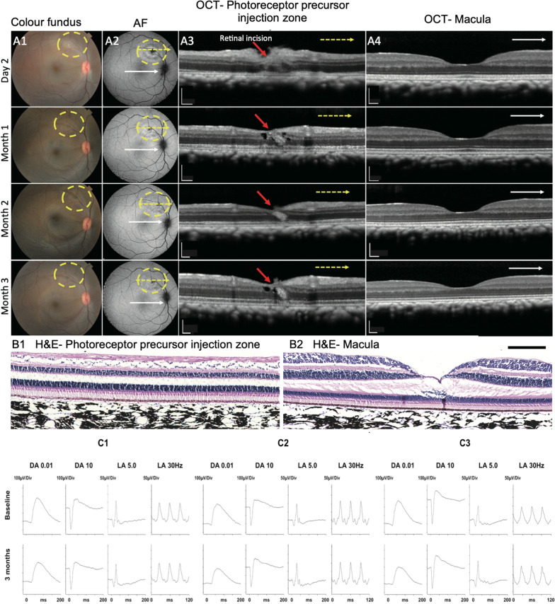 Fig. 2