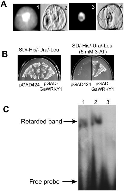 Figure 6.