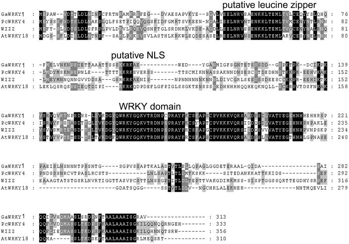 Figure 2.