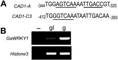 Figure 1.