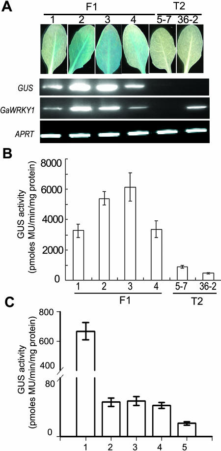 Figure 7.