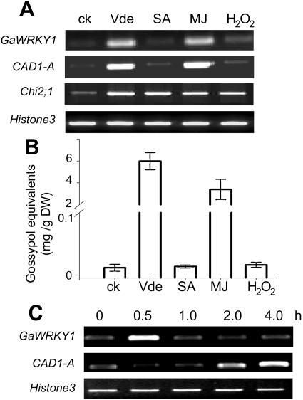 Figure 5.