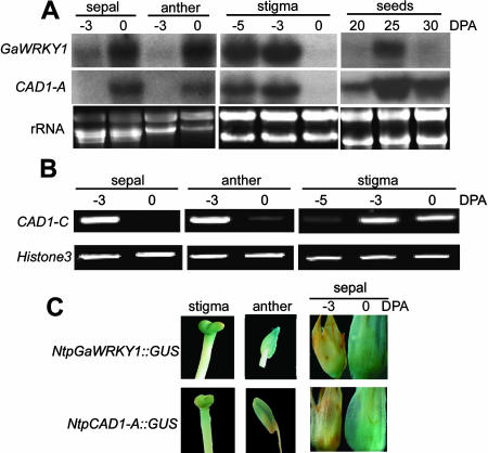 Figure 4.