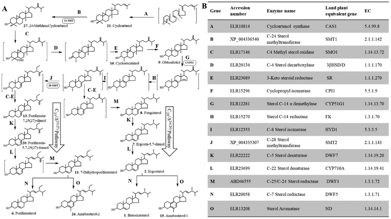 Figure 6.