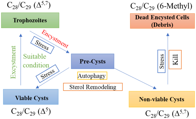 Figure 9.