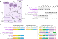 Extended Data Fig. 3