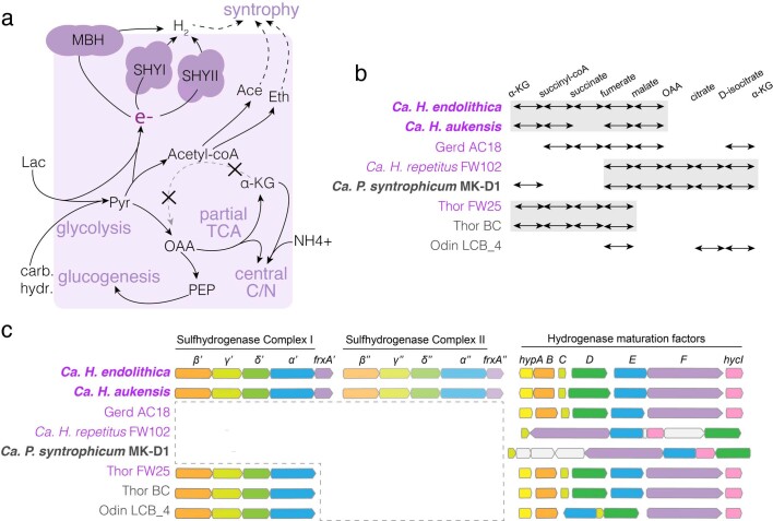 Extended Data Fig. 3