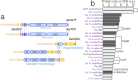 Extended Data Fig. 7