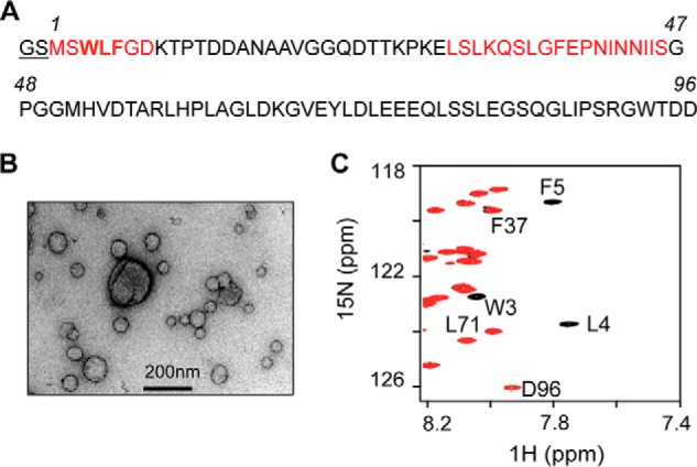 FIGURE 1.